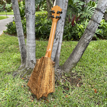 Load image into Gallery viewer, Pop's Customs KTS-07 Sceptre Ukulele Tenor Scale