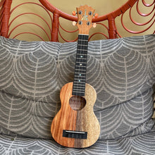 Load image into Gallery viewer, KoAloha KSNP-00 Soprano Ukulele Naupaka #2209291