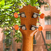 Load image into Gallery viewer, KoAloha KSNP-00 Soprano Ukulele Naupaka #2209291