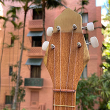 Load image into Gallery viewer, Asonu Tahitian Ukulele 4 String Seashell