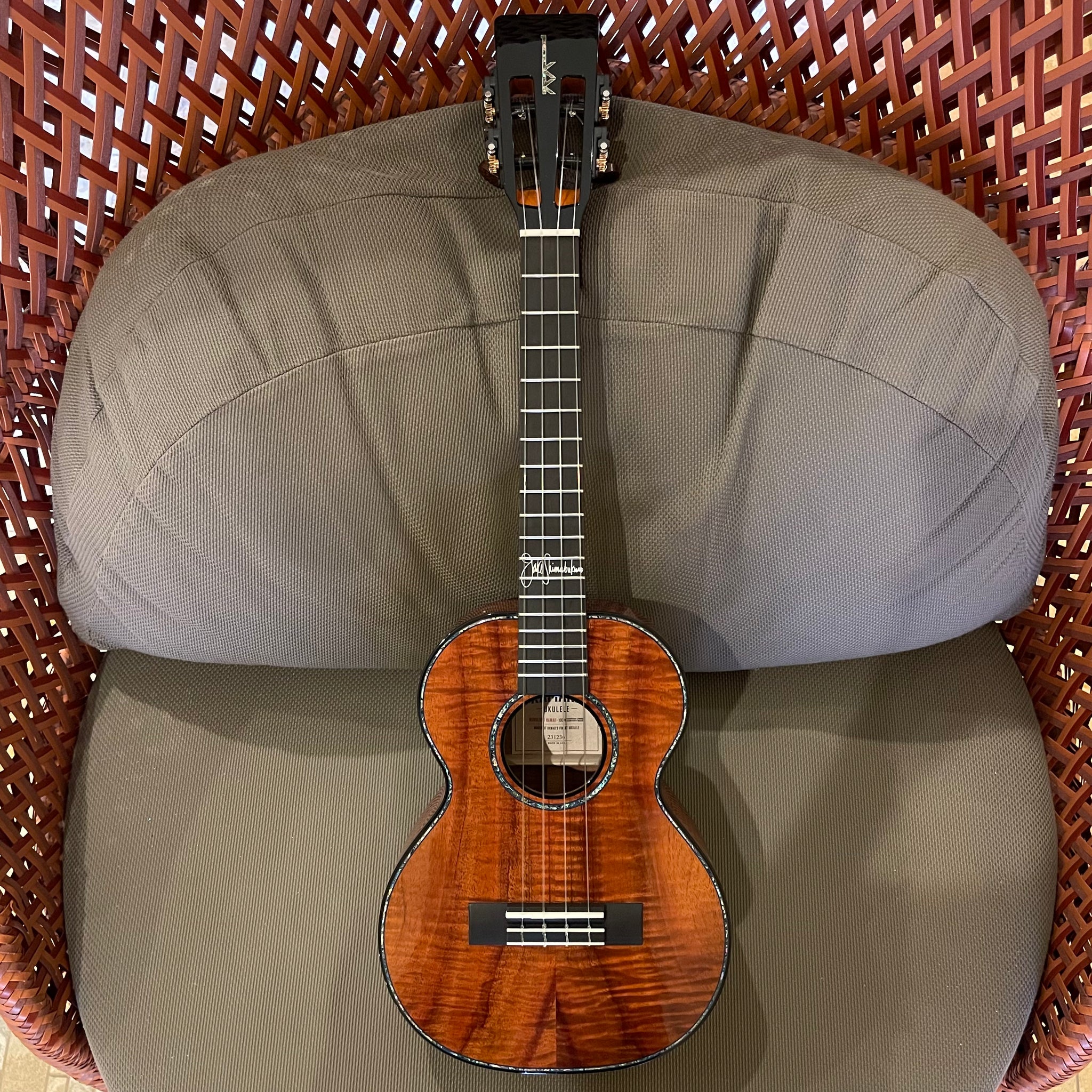 Kamaka HF-3D4i Jake Blue Deluxe Tenor Ukulele #231236 – Ukulele Puapua