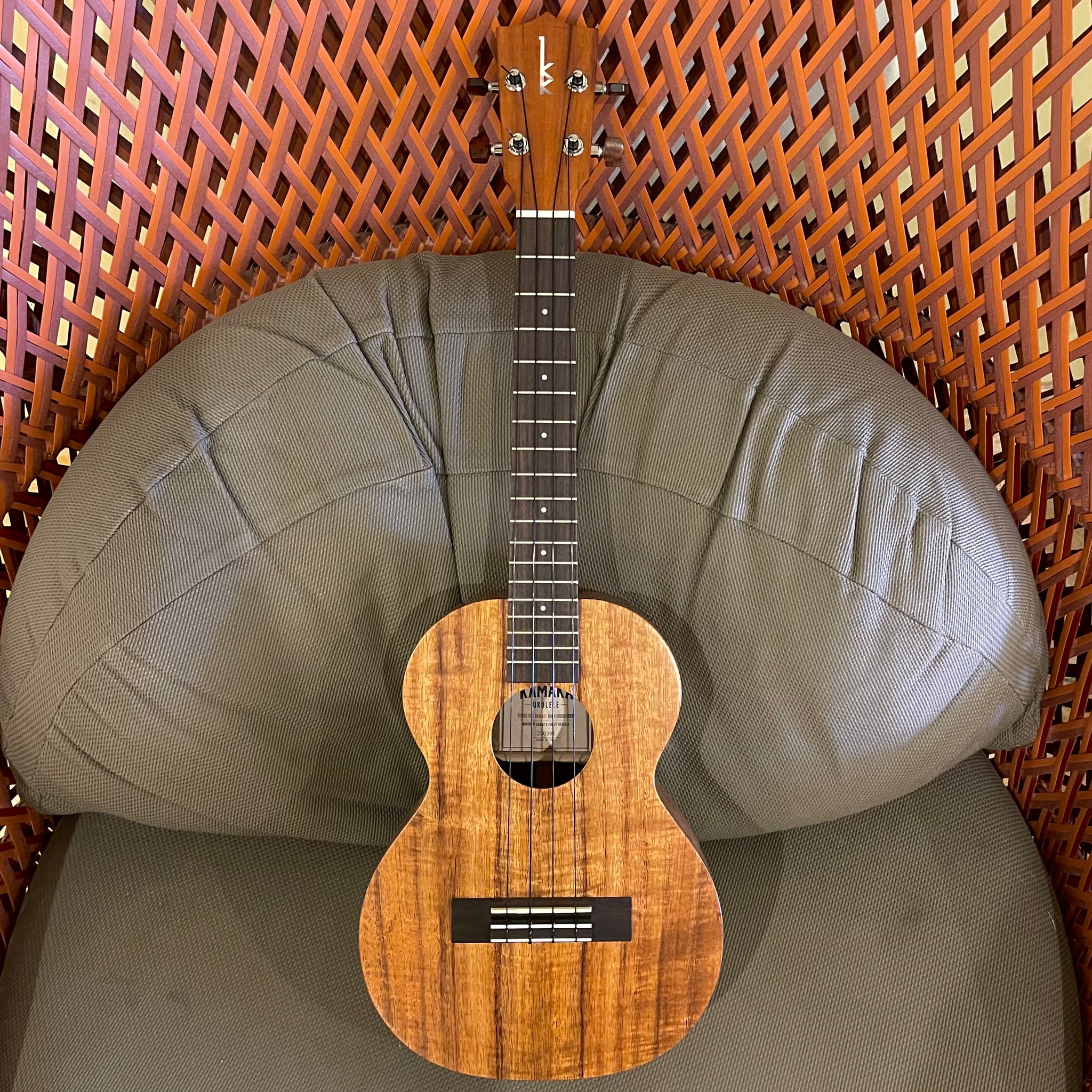 Made in Hawaii: Tenor Ukulele – Ukulele Puapua