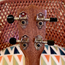 Load image into Gallery viewer, Ana&#39;ole ASP Soprano Pineapple Ukulele #26780824
