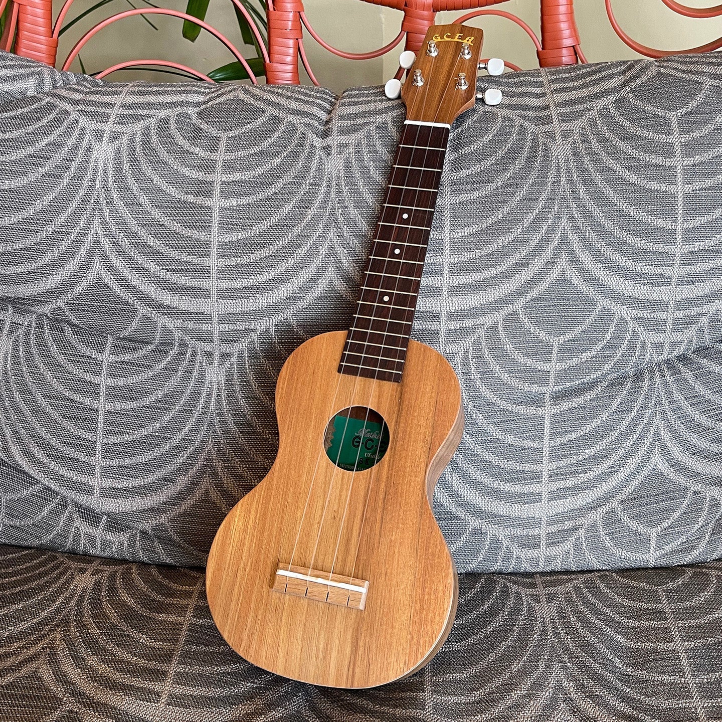 Catalog – Ukulele Puapua