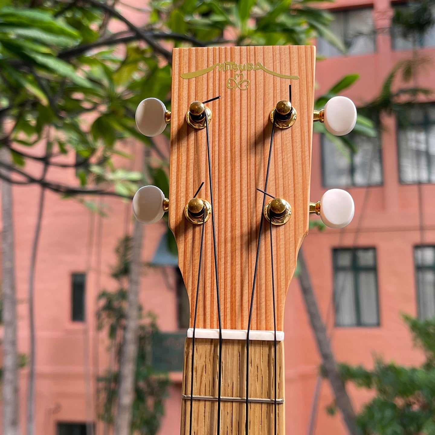 cucu Zephyr CK-Sugi Concert Ukulele Bell Shape Japanese Cedar – Ukulele