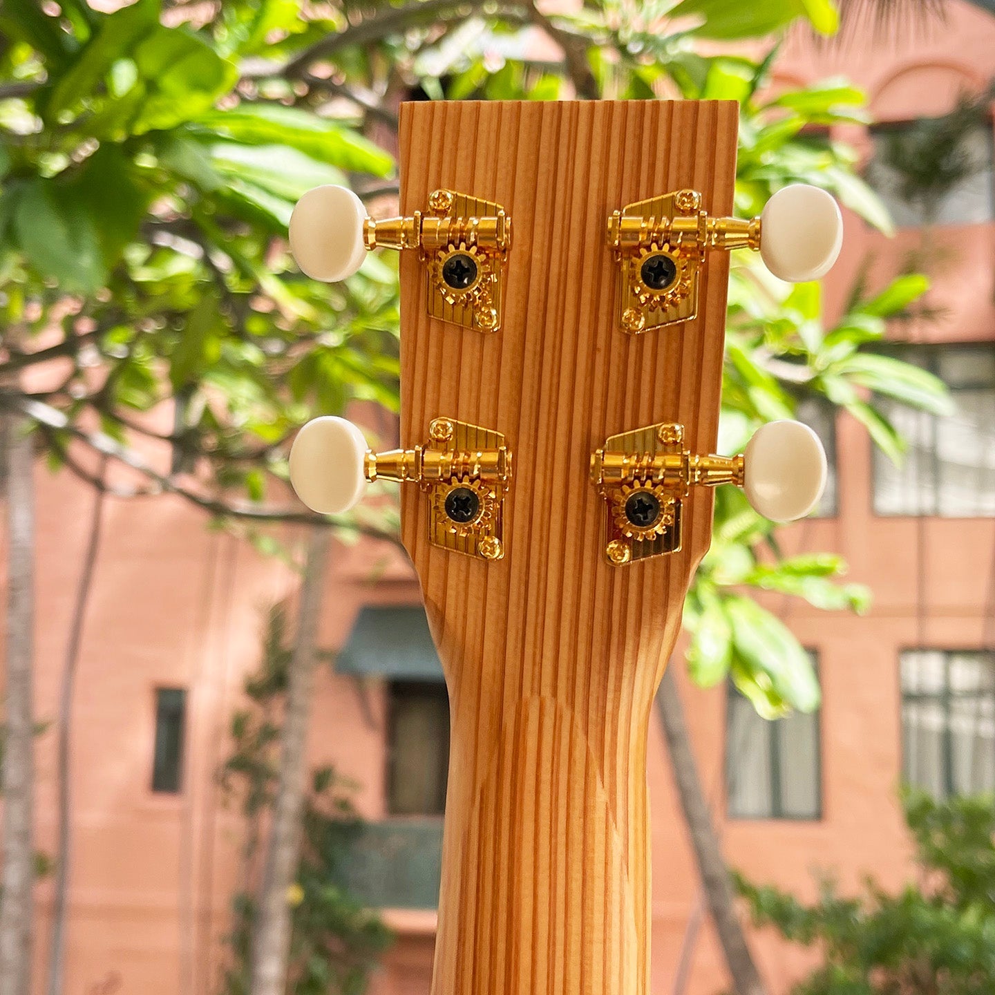 Zephyr CK-Sugi Concert Ukulele Bell Shape Japanese Cedar – Ukulele